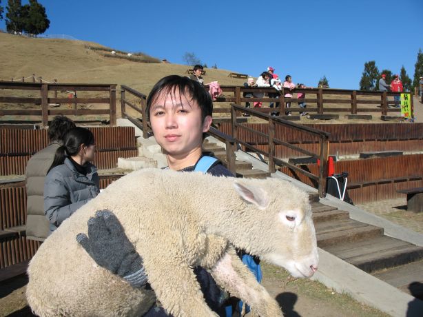 可憐的羊委屈地被大家強迫擺姿勢拍照 (這隻羊看起來像假的)